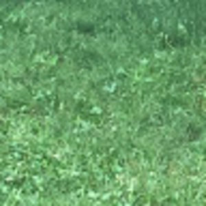 Meet your Posher, Gabrielle